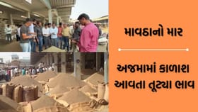 અજમાની મબલખ આવક પરંતુ પુરતા ભાવ ન મળતા ખેડૂતો પરેશાન