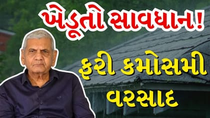 ગુજરાતમાં માવઠાનો ખતરો : અંબાલાલ પટેલે કરી કમોસમી વરસાદની આગાહી