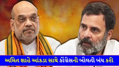 તાકાત હોય તો મંચ નક્કી કરો! ખેડૂતોના મુદ્દે રાહુલ ગાંધીને અમિત શાહનો ખુલ્લો પડકાર, આંકડા સાથે વિપક્ષની બોલતી બંધ કરી - જુઓ Video