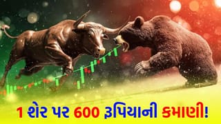 Stock Market : 1 શેર પર થશે 600 રૂપિયાનો નફો, આ સ્ટોક હવે રોકેટ બનવાની તૈયારીમાં; રોકાણકારોના ખિસ્સા ભરાશે