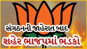 સંગઠન સામે સ્વાભિમાન ભારે: નવસારી ભાજપમાં સંગઠન જાહેર થયા બાદ ભડકો
