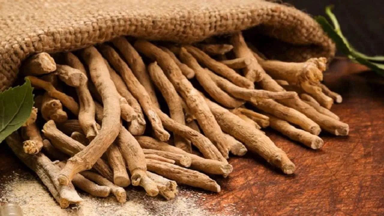 અશ્વગંધા: અશ્વગંધાના સેવનથી તણાવ ઓછો થાય છે અને રક્તનો પ્રવાહ વધે છે. જો તમે સવારે ખાલી પેટે એક ચમચી અશ્વગંધા લો છો, તો બ્લડ પ્રેશર વધવાની શક્યતા ઘટી જાય છે.