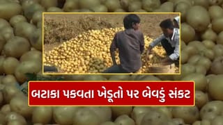 બનાસકાંઠાના બટાકા પકવતા ખેડૂતો બેવડા સંકટમાં, ઓછું ઉત્પાદન અને ભાવમાં કડાકો, જુઓ Video
