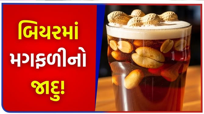 બિયરમાં મગફળીના તરવા પાછળનું 'અસલી કારણ' શું?