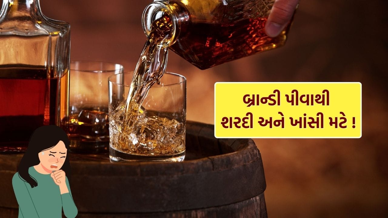 ઘણા લોકો શિયાળાની ઋતુમાં જ્યારે ગળામાં દુખાવો, ઉધરસ અથવા શરદી થાય ત્યારે ગરમ બ્રાન્ડી કે રમ પીવાનું કહે છે. તેઓ માને છે કે તે ગળાને સાફ કરે છે અને લક્ષણોમાં રાહત આપે છે. તેમ છતાં, ડોકટરો આ ઘરેલું ઉપાયને સંપૂર્ણપણે યોગ્ય માને તે નથી. નિષ્ણાતો કહે છે કે કોઈપણ પ્રકારનો આલ્કોહોલ ઉધરસ કે શરદી માટે કાયમી ઉપાય નથી.