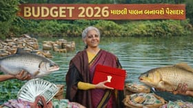 માછલી ઉગાડો અને કમાણી વધારો, સરકારે ખોલી નાખ્યો ખજાનો