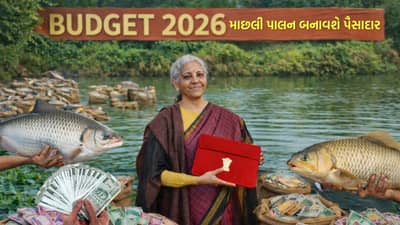 માછલી ઉગાડો અને કમાણી વધારો, Budget 2026 માં સરકારે ખોલી નાખ્યો ખજાનો, જાણો
