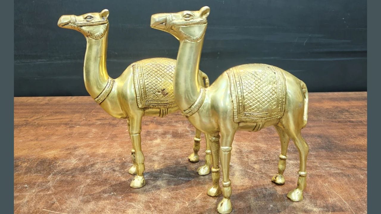 પિત્તળ અથવા તાંબાની બનેલી ઊંટની મૂર્તિ શુભ માનવામાં આવે છે.  જો આ શક્ય ન હોય તો, લાકડા અથવા પથ્થરની મૂર્તિ પણ ઘરમાં મૂકી શકાય છે. ઊંટની મૂર્તિ ખરીદતી વખતે તેના કદનો પણ વિચાર કરવો જોઈએ. વાસ્તુ અનુસાર મૂર્તિ ખૂબ મોટી કે ખૂબ નાની ન હોવી જોઈએ. મધ્યમ કદની ઊંટની મૂર્તિ શુભ માનવામાં આવે છે.
