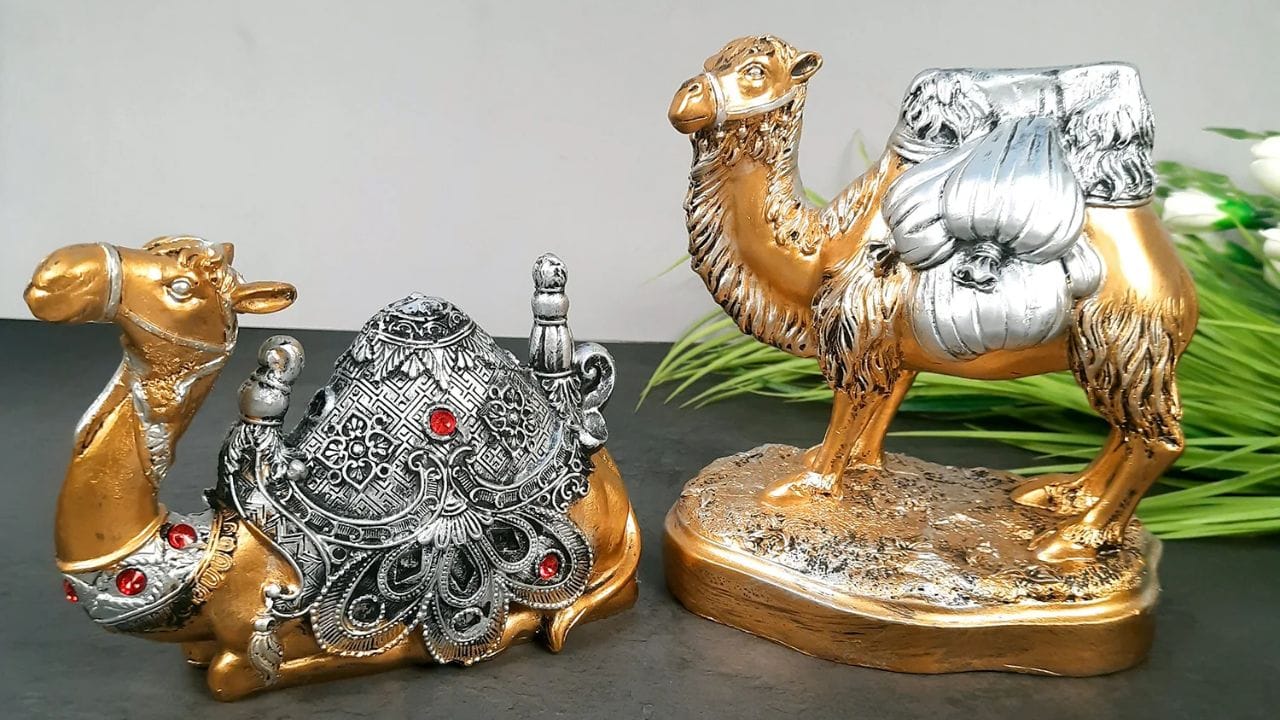 વાસ્તુ અનુસાર, ઘરમાં ઊંટની મૂર્તિ હંમેશા જોડીમાં રાખવી જોઈએ. આવી મૂર્તિઓ રાખવાથી વ્યવસાય અને કારકિર્દીમાં લાભ થઈ શકે છે.ઊંટની મૂર્તિ ક્યારેય બેડરૂમમાં, બાથરૂમની નજીક, સીડીની નીચે, ફ્લોર પર અથવા મુખ્ય દરવાજાની સામે ન રાખવી જોઈએ. આ સ્થળોએ ઊંટની મૂર્તિ રાખવી અશુભ માનવામાં આવે છે.
