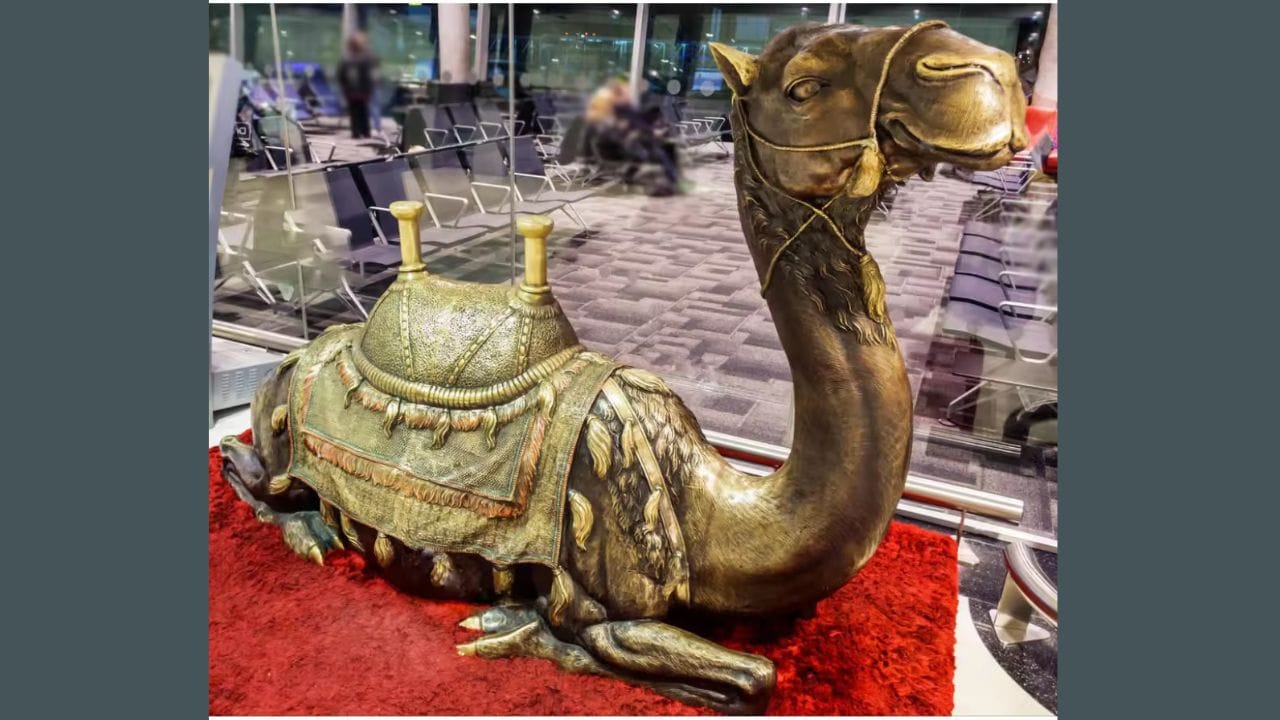 જો કે, ઊંટની મૂર્તિને યોગ્ય દિશામાં રાખવી જરૂરી છે. ઘરમાં ઊંટની મૂર્તિ રાખવાથી, સંબંધિત નિયમોનું પાલન કરવાથી, સુખ અને સમૃદ્ધિમાં વધારો થઈ શકે છે. ચાલો ઊંટની મૂર્તિ મૂકવા માટે યોગ્ય દિશા, સ્થાન, ફાયદા અને કેટલાક વાસ્તુ નિયમો વિશે વિગતવાર જાણીએ...
