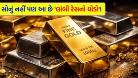 સોનું બાજુ પર મૂકો, આ એસેટ કરાવશે 'બમ્પર કમાણી'!