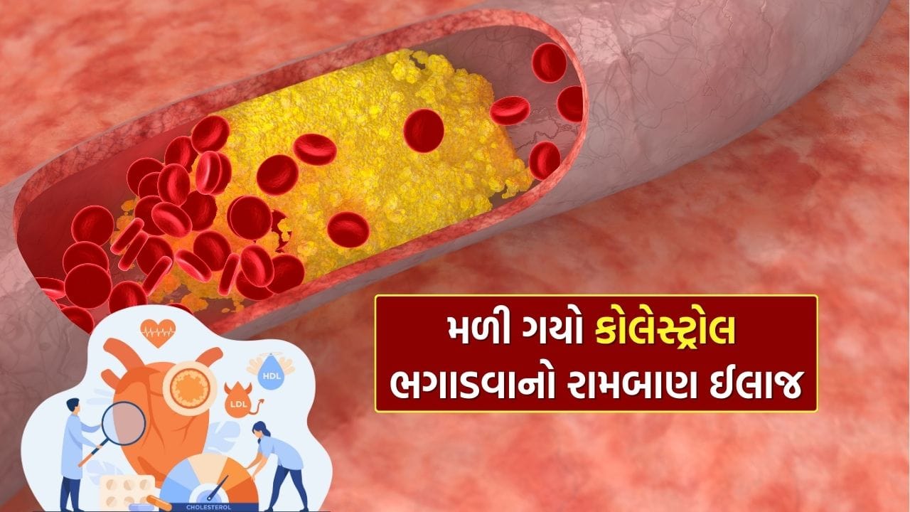 કોલેસ્ટ્રોલ આપણા શરીર માટે જરૂરી છે, પરંતુ તેની માત્રા વધી જાય તો તે હૃદય સંબંધિત ગંભીર સમસ્યાઓનું કારણ બની શકે છે. હાઈ કોલેસ્ટ્રોલ ઘટાડવું સહેલું નથી, પરંતુ યોગ્ય આહાર અપનાવવામાં આવે તો તેમાં નોંધપાત્ર ફાયદો થઈ શકે છે. નિયમિત રીતે એક ખાસ શાકભાજીનું સેવન કરવાથી ખરાબ કોલેસ્ટ્રોલ ઘટાડવામાં મદદ મળી શકે છે.