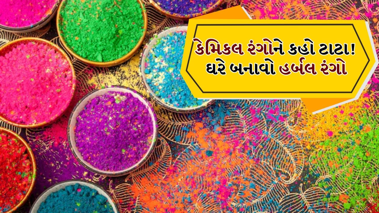 હોળીનો તહેવાર રંગો, મજા અને આનંદથી ભરેલો તહેવાર માનવામાં આવે છે. જ્યારે દરેક વ્યક્તિ એકબીજા પર રંગો લગાવીને ખુશીઓ વહેંચે છે, ત્યારે આજે ઉપલબ્ધ રાસાયણિક રંગો ત્વચા, વાળ અને પર્યાવરણ માટે ખતરનાક સાબિત થઈ રહ્યા છે.
