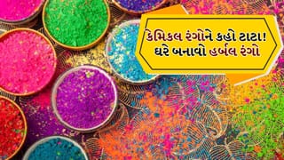 Chemical Free Holi: આ વખતે કેમિકલ ફ્રી હોળી રમો, ઘરે આ રીતે બનાવો હર્બલ અબીલ-ગુલાલ