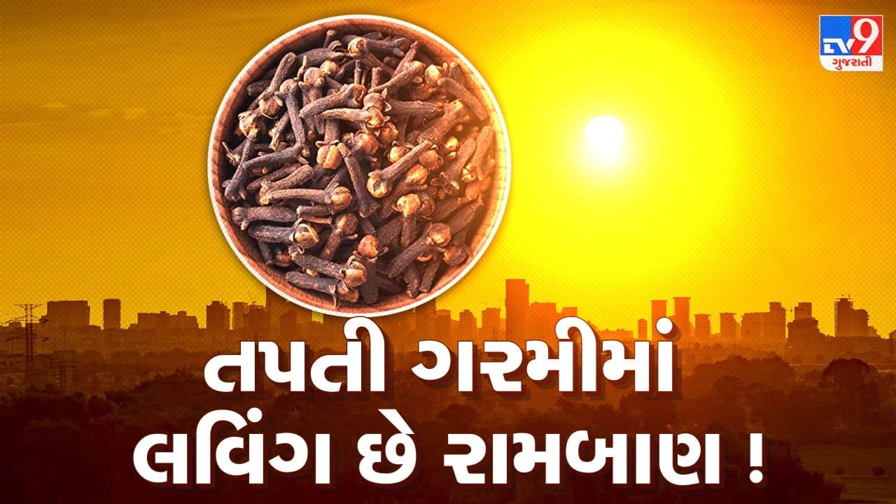 ઘણા લોકો માને છે કે લવિંગ માત્ર શિયાળામાં ઉપયોગી છે અને તેની ગરમ અસરને કારણે ઉનાળામાં તે ટાળે છે. પરંતુ આયુર્વેદ અને વિજ્ઞાન મુજબ, યોગ્ય માત્રામાં લેવાયેલું લવિંગ ઉનાળામાં પણ શરીરને ફાયદો આપી શકે છે. આયુર્વેદમાં તેને દેવપુષ્પ કહેવામાં આવે છે, અને તે પાચન સુધારવા તથા ઉનાળામાં થતી કેટલીક સામાન્ય તકલીફોમાં રાહત આપવા મદદરૂપ બની શકે છે.