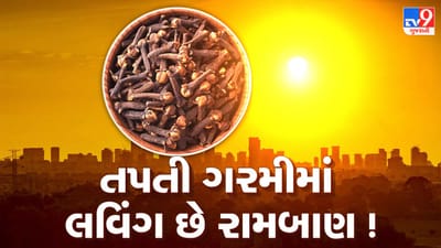 ઘણા લોકો માને છે કે લવિંગ માત્ર શિયાળામાં ઉપયોગી છે અને તેની ગરમ અસરને કારણે ઉનાળામાં તે ટાળે છે. પરંતુ આયુર્વેદ અને વિજ્ઞાન મુજબ, યોગ્ય માત્રામાં લેવાયેલું લવિંગ ઉનાળામાં પણ શરીરને ફાયદો આપી શકે છે. આયુર્વેદમાં તેને દેવપુષ્પ કહેવામાં આવે છે, અને તે પાચન સુધારવા તથા ઉનાળામાં થતી કેટલીક સામાન્ય તકલીફોમાં રાહત આપવા મદદરૂપ બની શકે છે.