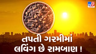 Clove Benefits: ઉનાળાની ગરમીમાં લવિંગ છે કુદરતી કૂલર! જાણો ઉપયોગ કરવાની સાચી રીત