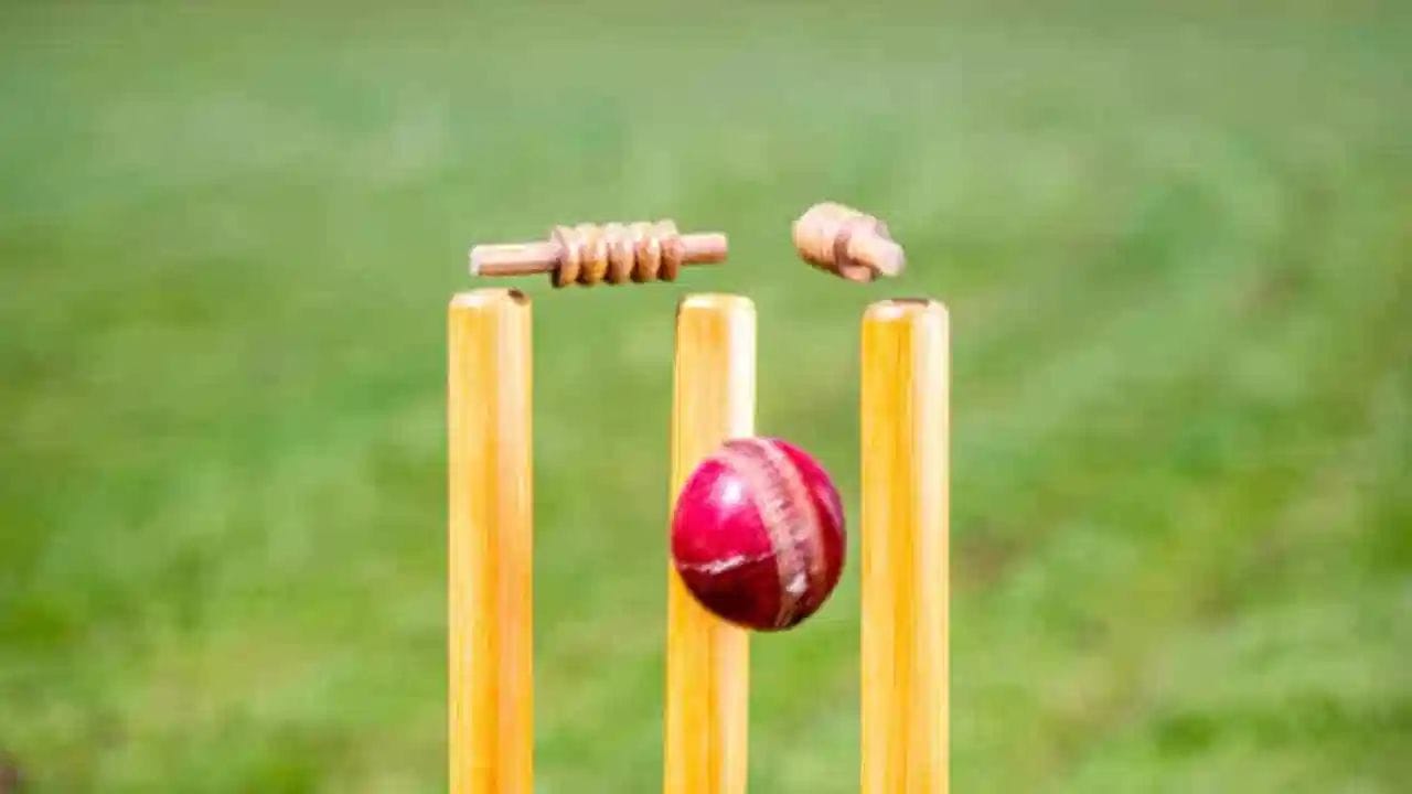 5. પ્લેટિનમ અથવા રોયલ ડક (Platinum or Royal Duck): પ્લેટિનમ અને રોયલ ડક એ ગોલ્ડન ડક જેવા જ છે પણ તેમાં થોડો તફાવત છે. આનો ઉપયોગ ખાસ કરીને ટેસ્ટ અને ફર્સ્ટ ક્લાસ ક્રિકેટમાં થાય છે. જો બેટર પ્રથમ ઇનિંગમાં પહેલા જ બોલ પર આઉટ થાય તો તેને 'પ્લેટિનમ ડક' કહેવાય છે અને જો બીજી ઇનિંગમાં પહેલા જ બોલ પર આઉટ થાય તો તેને 'રોયલ ડક' કહેવામાં આવે છે.