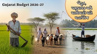 Gujarat Budget 2026-27: કૃષિથી મત્સ્યોદ્યોગ સુધી વિકાસની દોડ, ખેડૂતોને મળશે સીધી સહાય અને ટેકનોલોજીનો લાભ