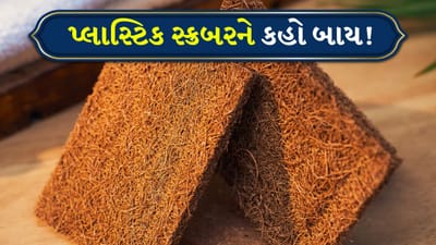 Tips and Tricks: પ્લાસ્ટિક સ્ક્રબર્સને અલવિદા કહો! નારિયેળનો ઉપયોગ કરીને ઘરે કુદરતી વાસણ સાફ કરવાનો સ્ક્રબર બનાવો