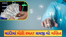સિલ્વર ETF ના રોકાણકારો ધોવાયા! મ્યુચ્યુઅલ ફંડ વાળા બચી ગયા, આવું કેમ?