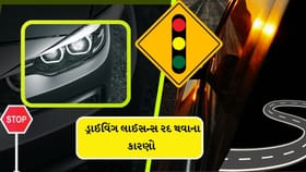 આ ભૂલો કરી તો તમારું ડ્રાઇવિંગ લાઇસન્સ રદ થશે