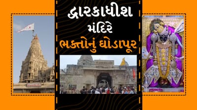 Breaking News : ફૂલડોલ ઉત્સવ નિમિત્તે દ્વારકાધીશ મંદિરે ભક્તોનું ઘોડાપૂર, જુઓ Video