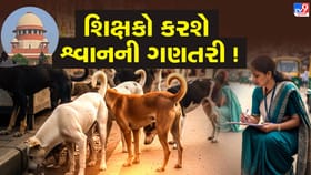 સુપ્રીમ કોર્ટના આદેશ બાદ, શૈક્ષણિક સંસ્થામાં શ્વાનનો સર્વે કરવા સૂચના
