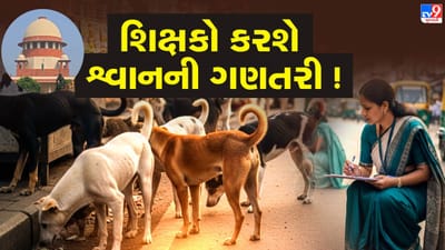 સુપ્રીમ કોર્ટના આદેશ બાદ, શૈક્ષણિક સંસ્થામાં શ્વાનનો સર્વે કરવા સૂચના, સરકાર-વિપક્ષ આમને સામને