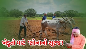 સરકાર ખેડૂતોને કરશે 'માલામાલ', ‘સેવા તીર્થ’ માં લેવાયો 'મોટો નિર્ણય'