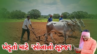 Breaking News: સરકારે ખેડૂતોના ખિસ્સા ભરવાનો કર્યો ‘પ્લાન’ ! વડાપ્રધાનના નવા કાર્યાલય ‘સેવા તીર્થ’ માં લેવાયો પહેલો ‘મોટો નિર્ણય’