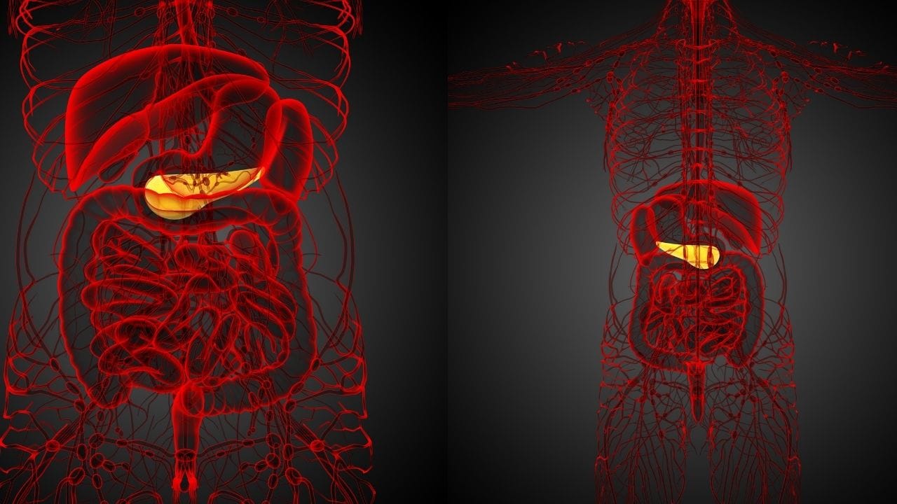 ઘણા દર્દીઓ એવા હોય છે જે દારૂ પીતા નથી છતાં ફેટી લીવરથી પીડાય છે. ખાસ કરીને વધારે વજન ધરાવતા લોકોમાં નોન-આલ્કોહોલિક ફેટી લીવર ડિસીઝ થવાનું જોખમ વધુ હોય છે. હાઈ બ્લડ પ્રેશર, હાઈ કોલેસ્ટ્રોલ, પ્રી-ડાયાબિટીસ અને ટાઇપ-2 ડાયાબિટીસ પણ તેના મુખ્ય કારણો છે.