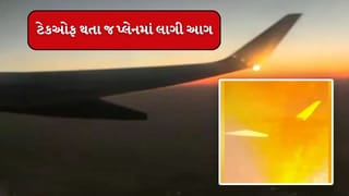 Breaking News : ટેક ઓફ થતા જ દિલ્હીથી લેહ જઇ રહેલા વિમાનમાં લાગી આગ, પાયલટે તણખા જોતા જ ભર્યુ મહત્વનું પગલુ