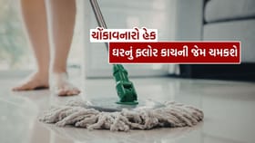 પોતું કરતી વખતે પાણીમાં આ બે વસ્તુઓ મિક્સ કરો, ઘર ચમકશે..