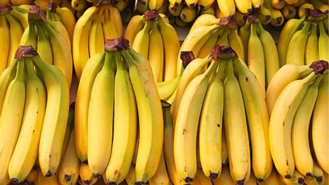 આનાથી આંતરડામાં સોજો ઓછો થાય છે અને લાંબા સમય સુધી આંતરડા સ્વસ્થ રહે છે. રિસર્ચ જાણવા મળ્યું છે કે, કાચા કેળામાં અલ્સર વિરોધી ગુણો જોવા મળે છે. આ રીતે, કેળું નેચરલ રીતે પેટના પડને મજબૂત સુરક્ષા પૂરી પાડી શકે છે.