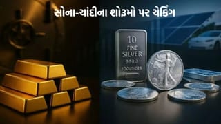 ગુજરાતમાં તોલમાપ વિભાગનો સપાટો, ઓછુ વજન જોખતા હોવાની ફરિયાદ મળતા સોના-ચાંદીના શોરૂમ પર ચેકિંગ