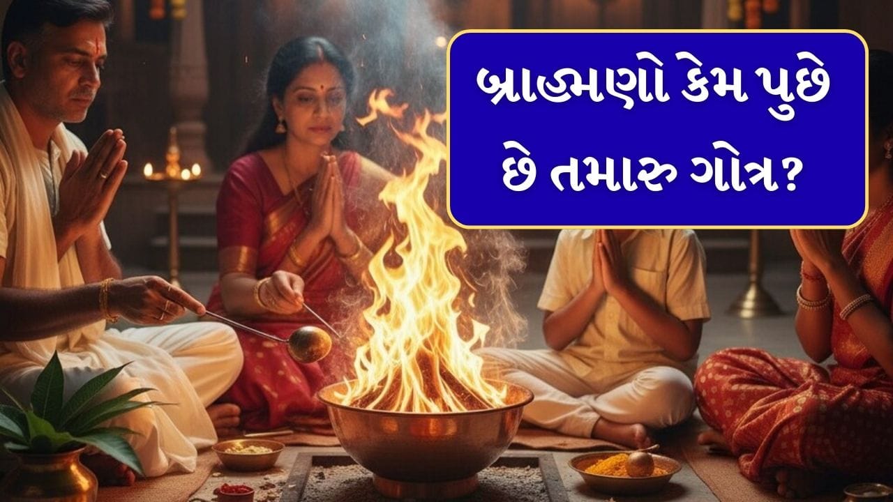 સનાતન ધર્મમાં ગોત્રને એક આવશ્યક ઓળખ તરીકે જોવામાં આવે છે. તે એવી ઓળખ છે જે વ્યક્તિને તેમના મૂળ વંશ સાથે જોડે છે. ગોત્ર એ વંશ સૂચવે છે જે તેમના પૂર્વજોના સમયથી વ્યવસ્થિત રીતે પસાર થયો છે. ભારતીય સમાજે પ્રાચીન કાળથી કુટુંબ પ્રણાલીઓ, પરંપરાઓ અને રિવાજોને વ્યવસ્થિત રીતે સાચવ્યા છે અને ગોત્ર પ્રણાલીને એક ધોરણ તરીકે અપનાવી છે.
