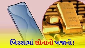 સ્માર્ટફોન એક ગેજેટ નહીં કિંમતી ધાતુનો ખજાનો!