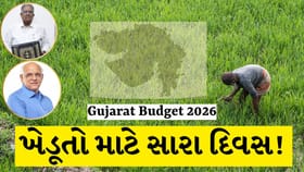 Gujarat Budgetમાં ખેડૂતો, પશુપાલકો અને સાગરખેડૂતો માટે કરોડની જોગવાઈ