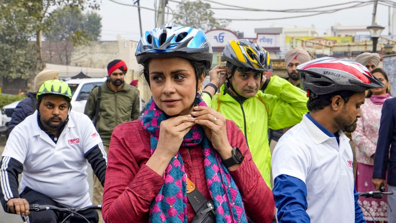 બોલિવુડની મલ્ટી ટેલેન્ટેડ અભિનેત્રી જેને બ્યુટી વિથ બ્રેન પણ કહેવામાં આવે છે. તેમણે ફેમિના મિસ ઈન્ડિયા યૂનિવર્સ 1999નો તાજ પણ પહેરાવવામાં આવ્યો હતો. તે માત્ર પોતાની એક્ટિંગ જ નહી પરંતુ પ્લેન ઉડાવવાથી લઈ હોર્સ રાઈડિંગમાં ટેલેન્ટેડ છે.