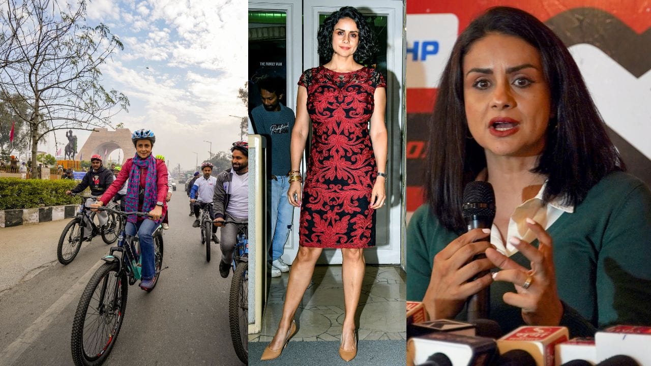 1999માં મિસ યુનિવર્સ ખાતે ભારતનું પ્રતિનિધિત્વ કર્યું હતું.તેમણે 2003માં નાગેશ કુકુનૂર દ્વારા દિગ્દર્શિત ફિલ્મ ધૂપથી હિન્દી ફિલ્મોમાં પોતાની કારકિર્દીની શરૂઆત કરી હતી અને ત્યારથી, તેણીએ ટીવી સીરિયલ કાશ્મીર સાથે જુર્મ જેવી ઘણી ફિલ્મોમાં અભિનય કર્યો છે.