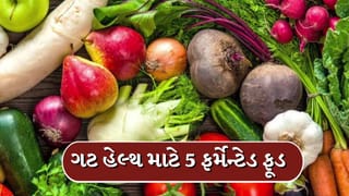 Gut Health: ગુજરાતી ખોરાક પ્રેમીઓ માટે પેટને તંદુરસ્ત રાખનારા છે 5 ફર્મેન્ટેડ ફૂડ, જાણો તેના વિશે