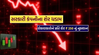 Breaking News : 12,64,058 રોકાણકારો વાળી સરકારી કંપનીના શેરમાં મોટો ધડાકો, શેર હોલ્ડર્સને પ્રતિ શેર 250 રૂપિયાનું નુકસાન..
