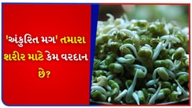 'સાધારણ મગ' કરતા અંકુરિત મગ કેમ છે 10 ગણા વધુ શક્તિશાળી?