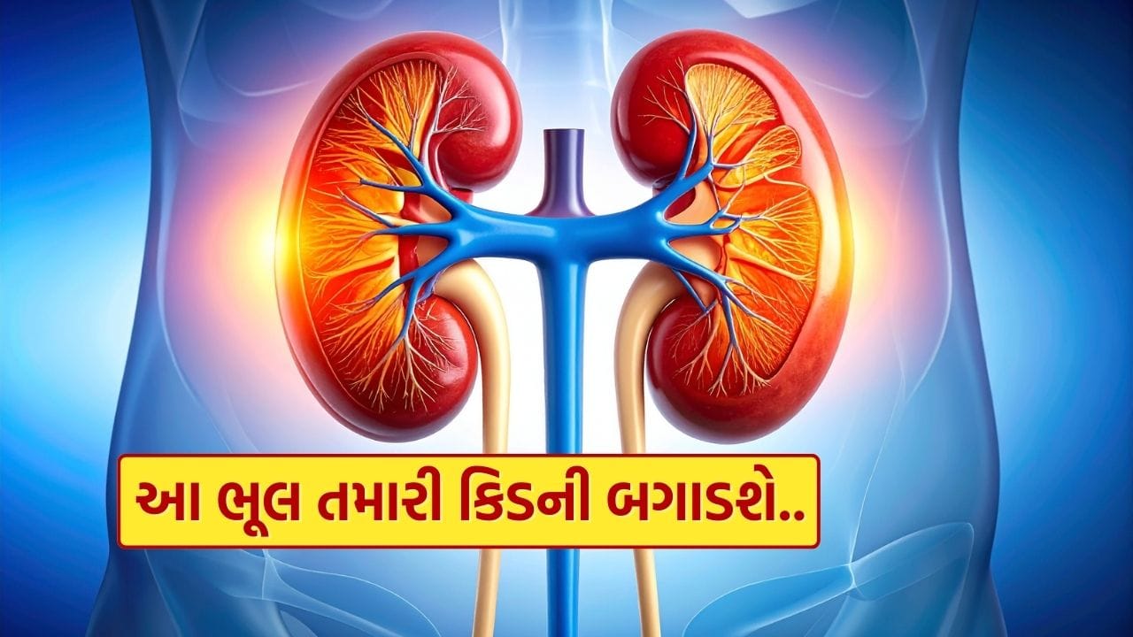 તમારી દૈનિક કેટલીક આદતો કિડની પર દબાણ લાવે છે. લાંબા ગાળે, આ આદતો કિડનીમાં પથરી, ક્રોનિક કિડની રોગ, પેશાબમાં ચેપ અને કિડની નિષ્ફળતા જેવી સમસ્યાઓ તરફ દોરી શકે છે. ચાલો આ આદતો વિશે જાણીએ.