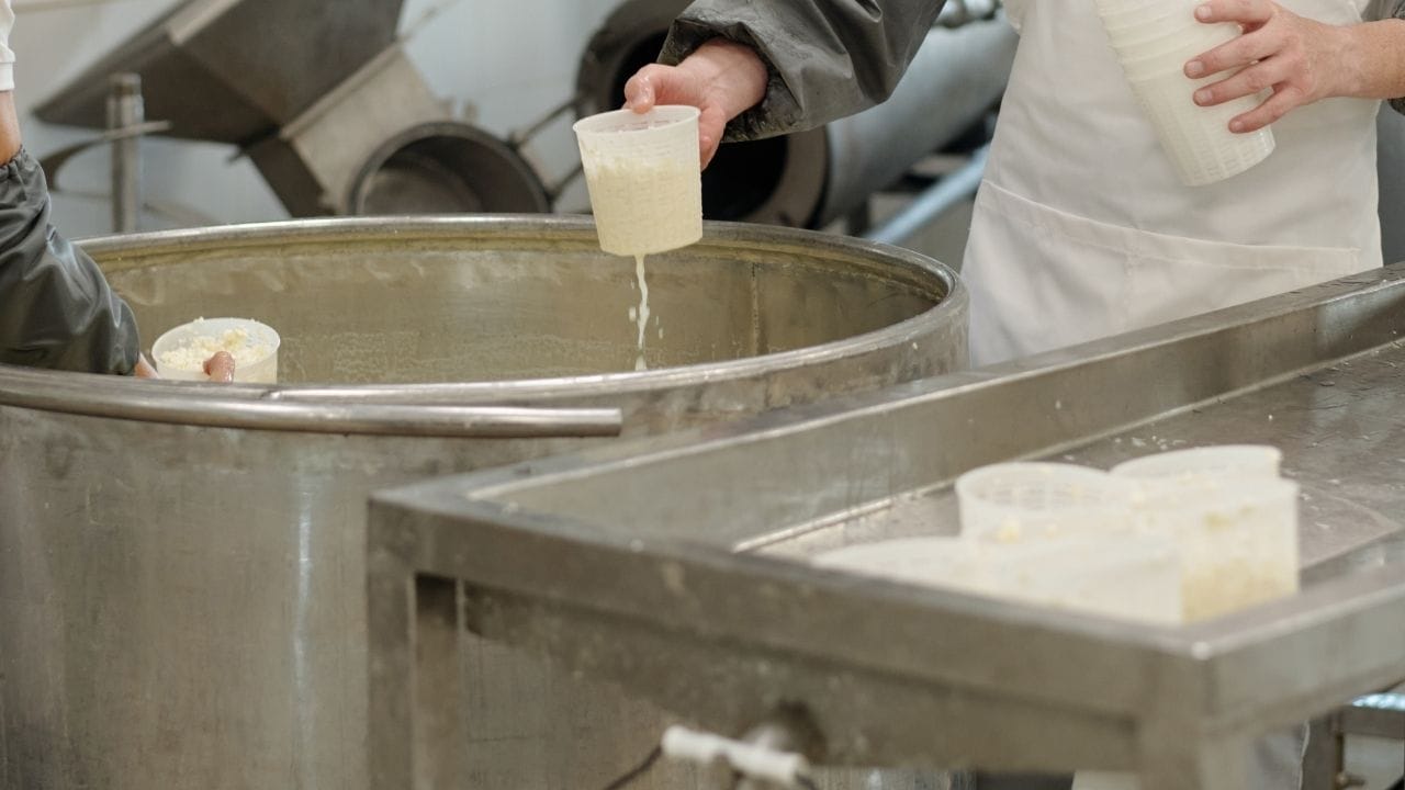 વધુ પડતું પ્રોસેસ્ડ ફૂડ, તળેલા ખોરાક અને ખાંડવાળા ખોરાક ખાવાથી સ્થૂળતા અને ડાયાબિટીસનું જોખમ વધે છે. આ બંને સ્થિતિઓ કિડની પર વધુ તાણ લાવે છે અને ધીમે ધીમે કિડની રોગ તરફ દોરી શકે છે.