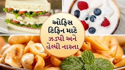 તમારી 9 થી 12 કલાકની ઓફિસ શિફ્ટ દરમિયાન, તમારે હંમેશા બપોરના ભોજનની ભૂખ માટે કેટલાક સ્વસ્થ નાસ્તા  રાખવા જોઈએ, નહીં તો તમે બહારથી બનાવેલ બિનઆરોગ્યપ્રદ ખોરાક ખાઈ શકો છો, જે તમારા સ્વાસ્થ્ય માટે હાનિકારક હોઈ શકે છે. કેટલાક નાસ્તા તમારા લંચ બોક્સમાં પેક કરવા સરળ હોય છે અને તે પ્રોટીન, વિટામિન્સ અને ખનિજોથી પણ ભરપૂર હોય છે.
