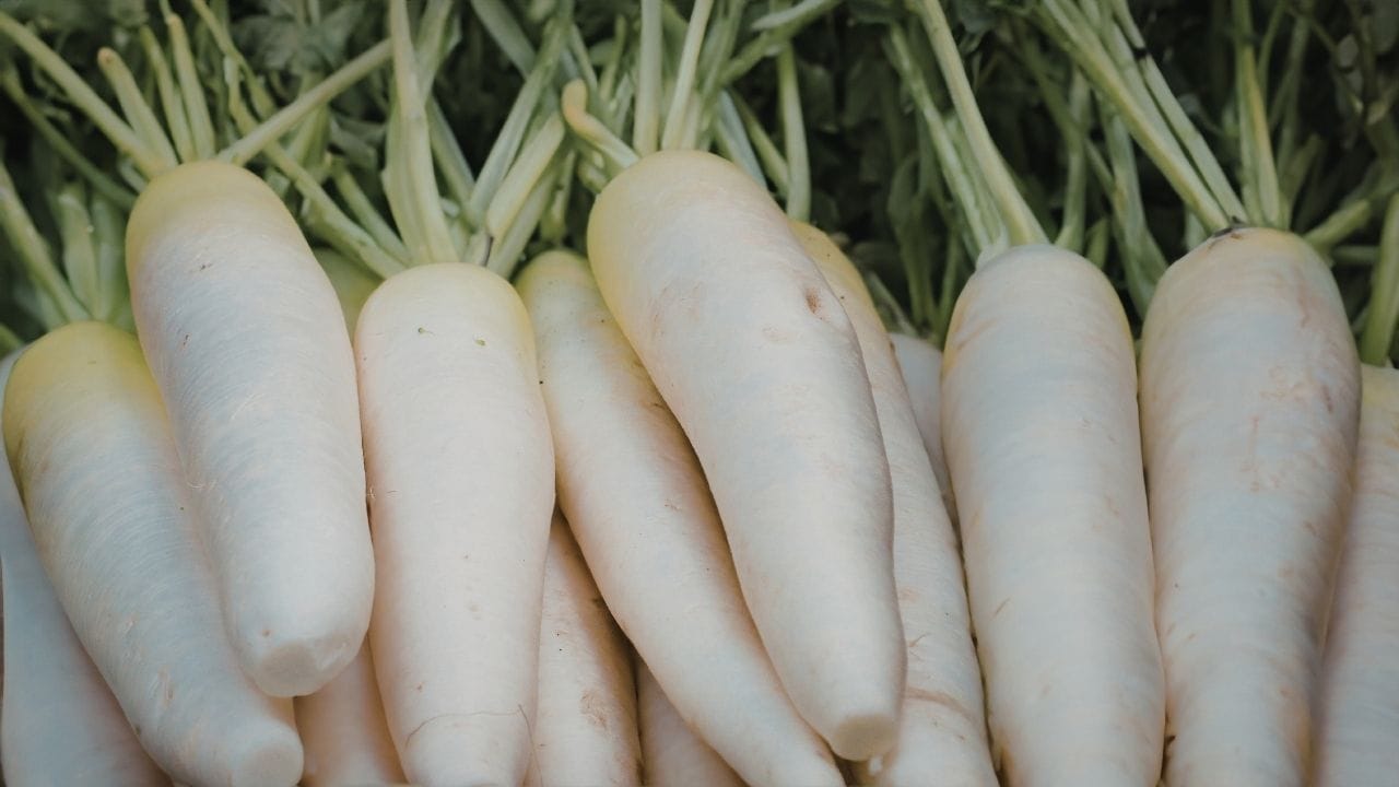 1 મહિનામાં ઉગતા શાકભાજી વિશે વાત કરીએ તો, તમે મૂળા વાવી શકો છો. તેના પાંદડા કાપો અને 25 થી 30 દિવસમાં સલાડ બનાવી ઉપયોગ કરી શકો છો. મૂળા પણ 40 દિવસમાં તૈયાર થઈ જાય છે.