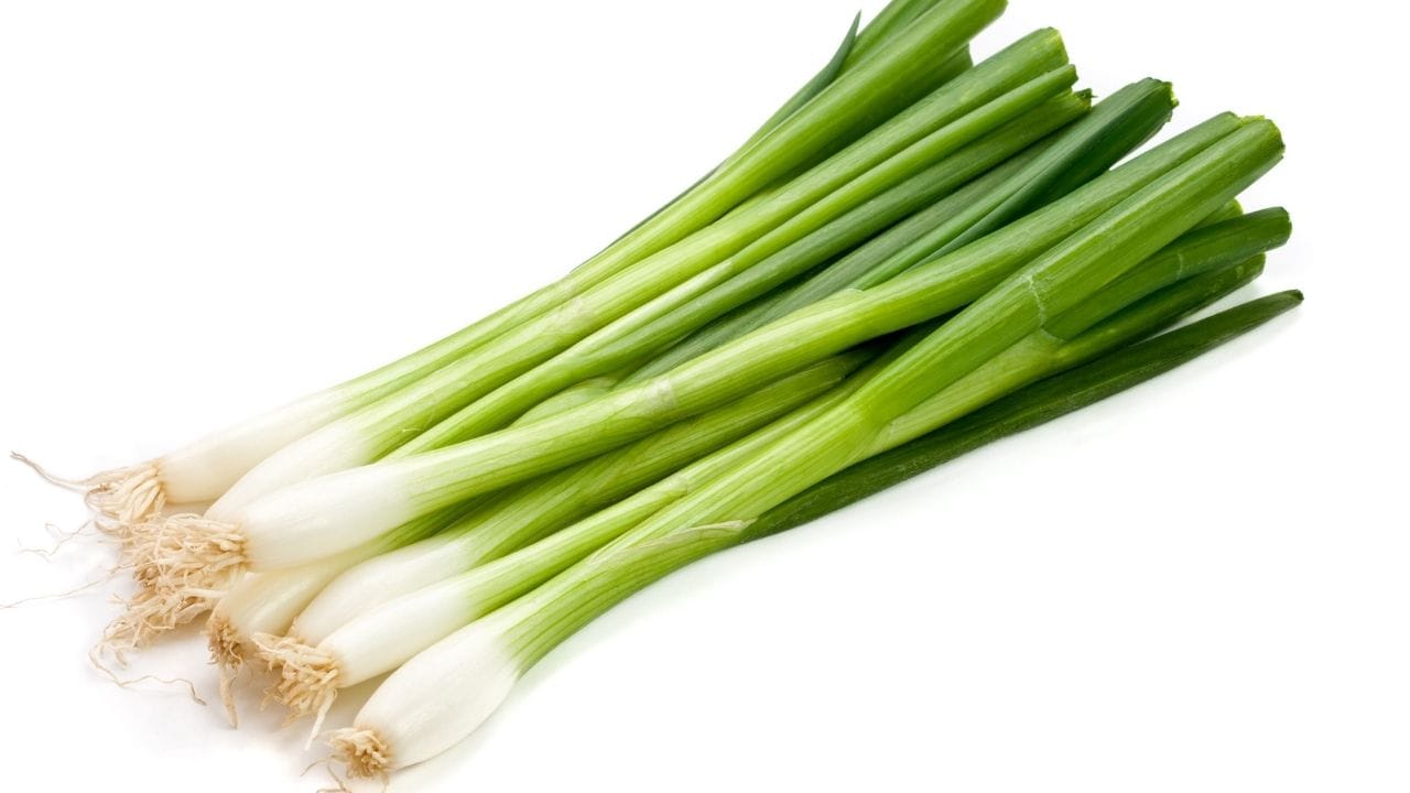 લોકો લીલી ડુંગળીને શાકભાજી તરીકે પણ રાંધે છે અને તેનો ઉપયોગ મસાલા તરીકે પણ કરે છે. તમે તેને ઘરે સરળતાથી કન્ટેનરમાં ઉગાડી શકો છો.