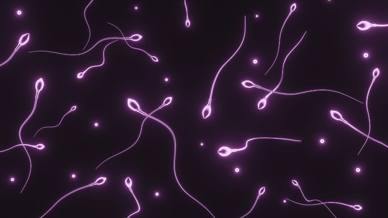 શુક્રાણુઓની ગુણવત્તા સુધારવા માટે જીવનશૈલીમાં સકારાત્મક ફેરફાર જરૂરી છે. ફળો, શાકભાજી અને પ્રોટીનથી ભરપૂર સંતુલિત આહાર લો. દરરોજ હળવી કસરત અથવા યોગ કરો. પૂરતી ઊંઘ લો અને તણાવ ઘટાડવાનો પ્રયાસ કરો. પૂરતું પાણી પીવો અને દારૂ તથા ધૂમ્રપાનથી દૂર રહો. જરૂર જણાય તો ડૉક્ટરની સલાહ લેવો લાભદાયી રહેશે.